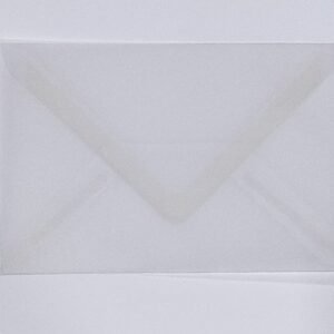 BUSTA TRASPARENTE F.TO 120X175