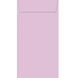 BUSTA PASTELLO F.TO 220X110