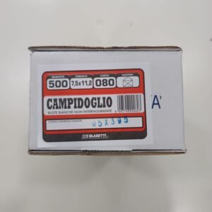 BUSTE CAMPIDOGLIO 080