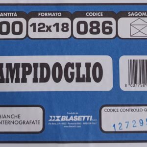 BUSTE CAMPIDOGLIO 086